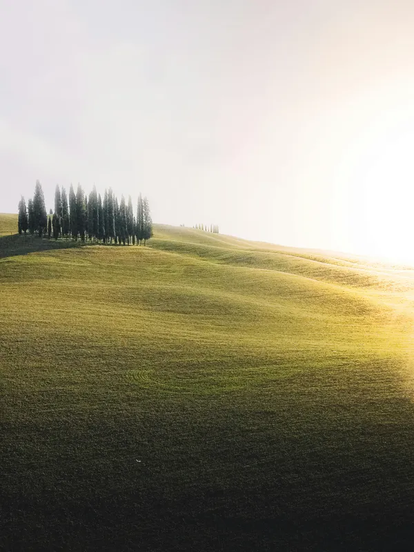 img of Ultimate Guide to Wedding Villas in Italy: Everything You Need to Know